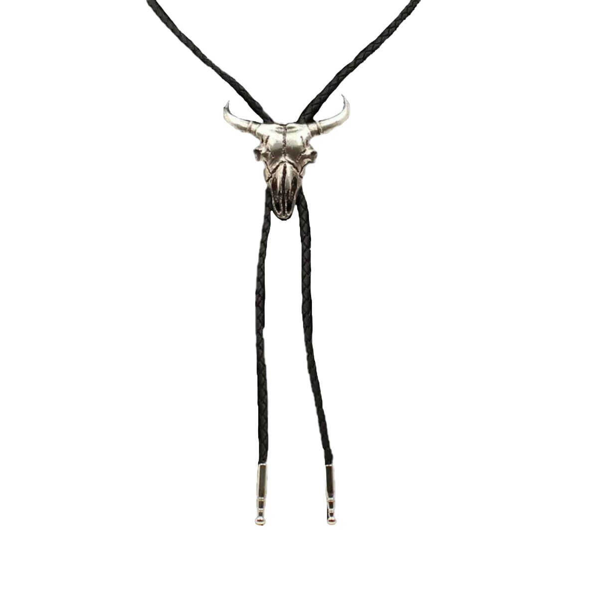 22233 Double S Western Steer Skull