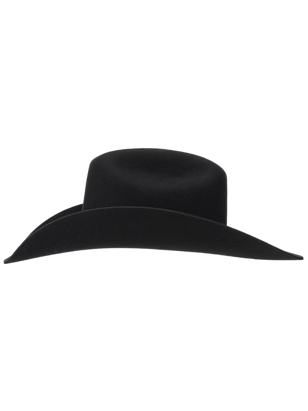 4207 Stetson Oak Ridge 3X Wool Felt Hat