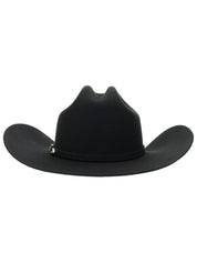 4207 Stetson Oak Ridge 3X Wool Felt Hat